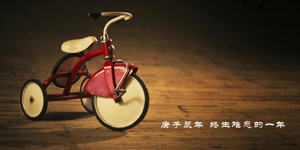 庚子年,再见 庚子年,再见