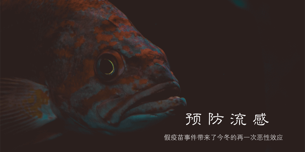 laravel 视频 laravel 视频