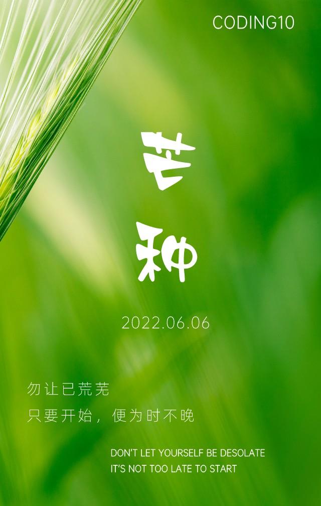 芒种 芒种