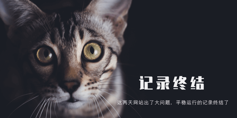  Coding10网站平稳运行两年的记录终结了