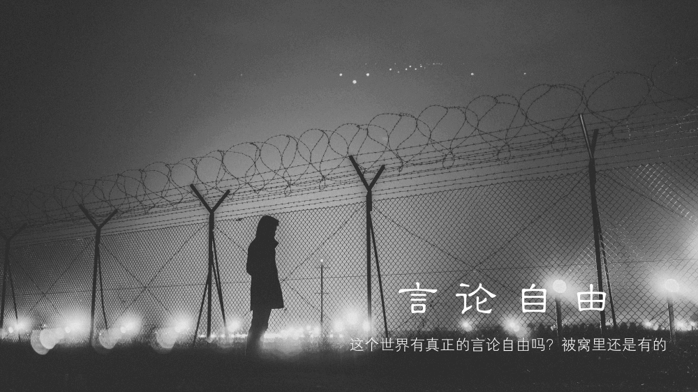 Laravel 免费视频