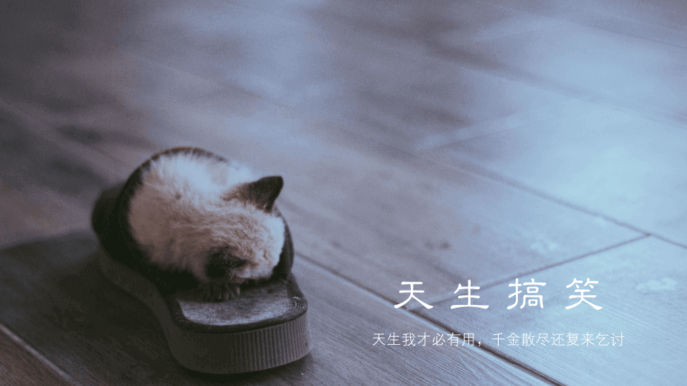 www之争 www之争