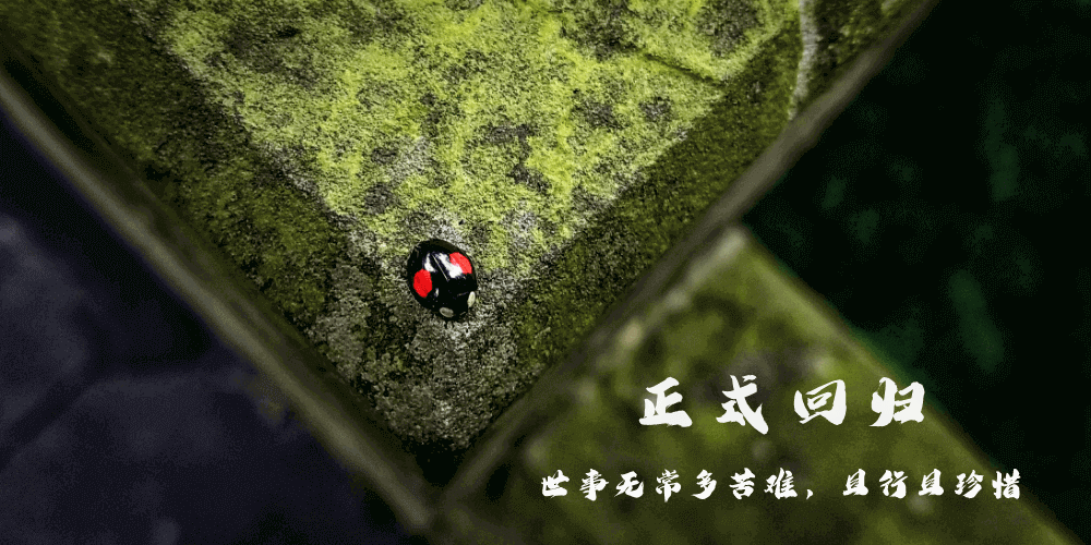 且行且珍惜 且行且珍惜
