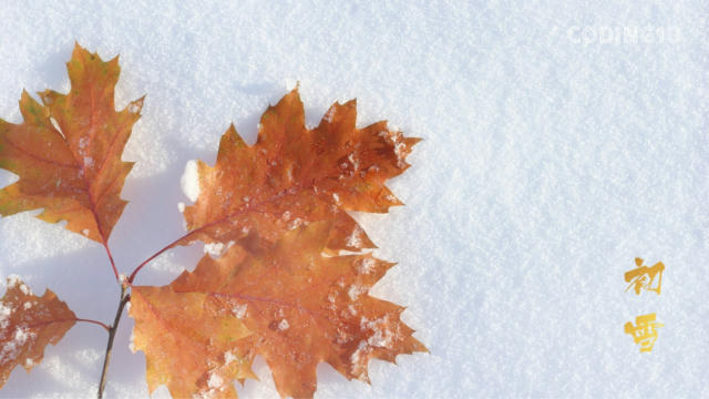 初雪 春节