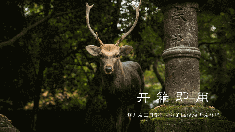 开箱即用的Laravel开发环境 开箱即用的Laravel开发环境