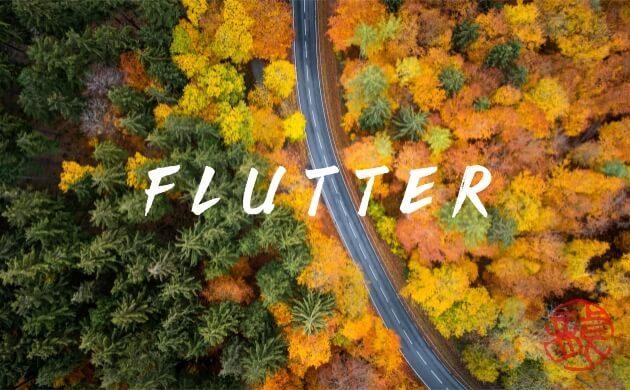 Flutter 跨平台应用开发